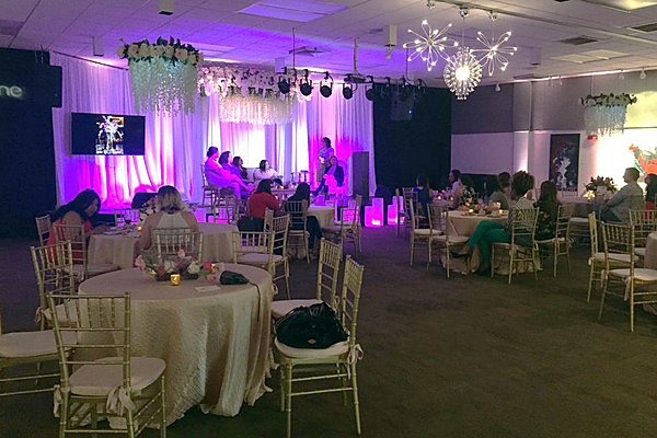 The Auditorium Theatre - Image 3 of 4