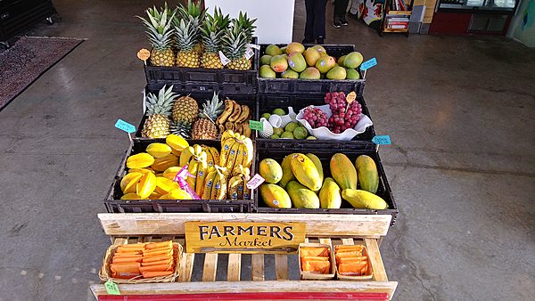 Open air market and commercial kitchen w/open lawn - Image 4 of 7